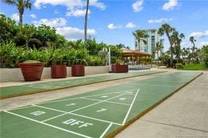 Shuffleboard