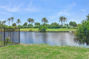 Lake view