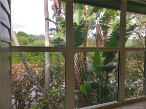 View out main living room window