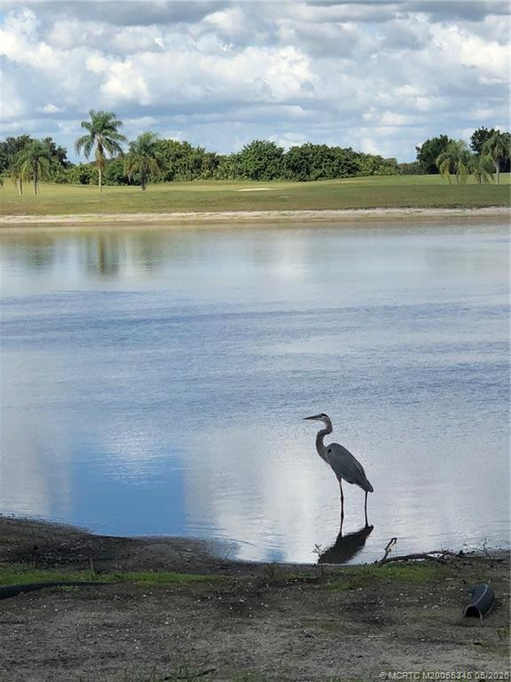 Community wildlife