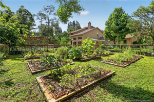 Gardener's paradise