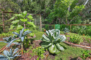 Productive vegetable garden grown year round