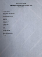 List of Tropical Fruit Trees and Plants