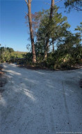 The Preserve at The Port District - Trails