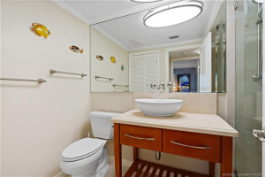 Guest bathroom with shower