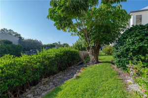 "Back yard" of the condo includes a nice tree which provides shade and privacy