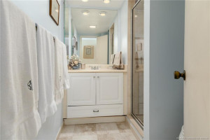 Updated Guest Bathroom with higher vanity, new shower, toilet, tile flooring, mirror and lighting