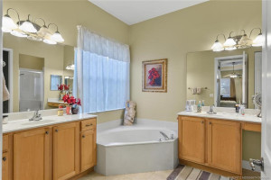 Master Bathroom with Soaking Tub
