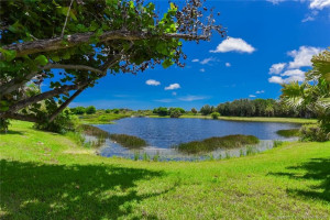 Lake View From Backyard