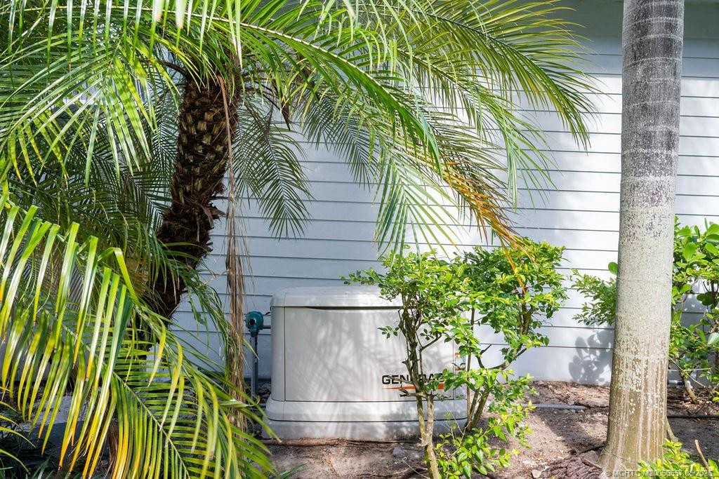 Whole house Generator!