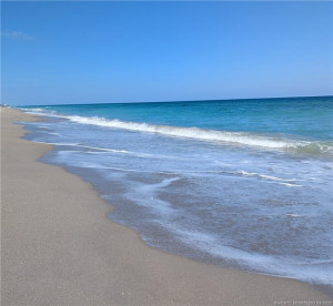 Nettles beach