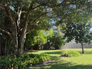 Magnificent Oak will be out of way for construction