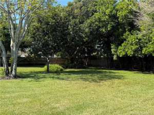 Owner keeps lot irrigated and mowed