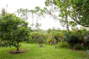Rear yard has open views across the preserve area.