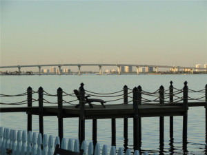 Photo 46