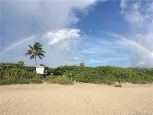 Photo 50