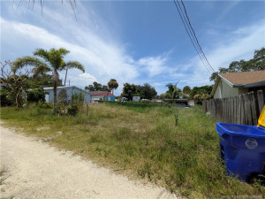 Far right of property along access easement