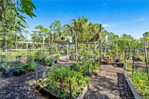 Garden beds.