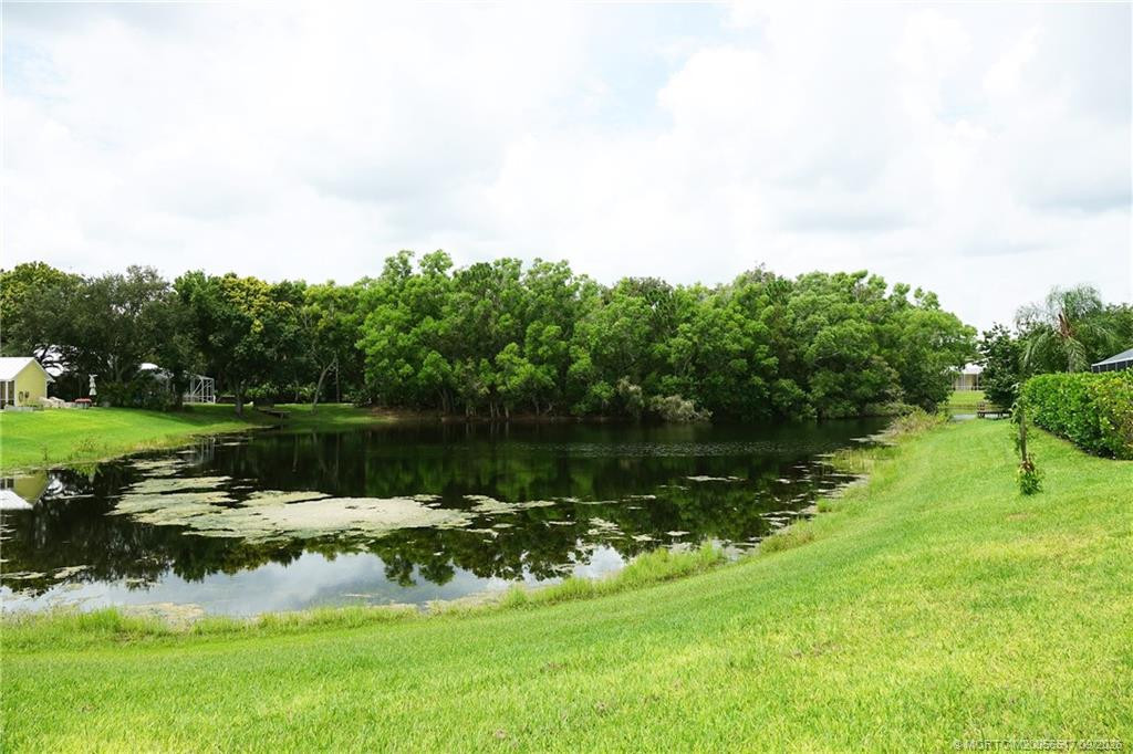 pond view from yard