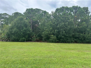 Rear preserve area