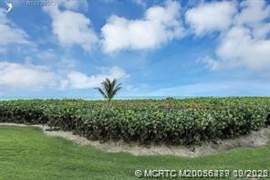Photo 39