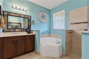 Main Bath Pic 2