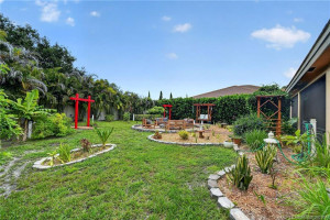 Backyard pic 1