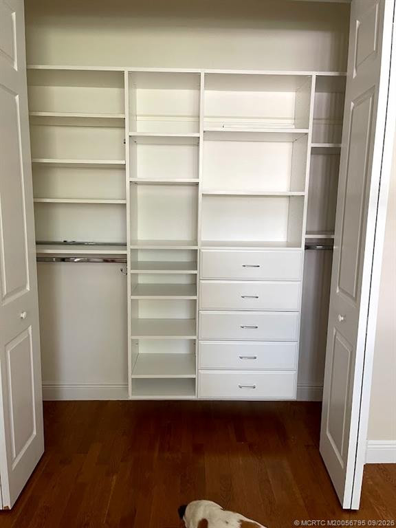 Master closet
