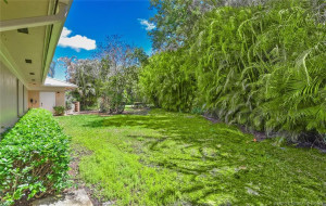 Large side yard for dog run