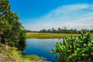 Community Pond
