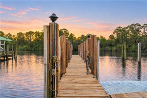 Photo 61