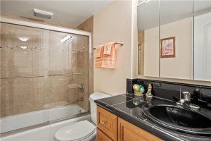 Tub shower in guest bathroom with granite countertops