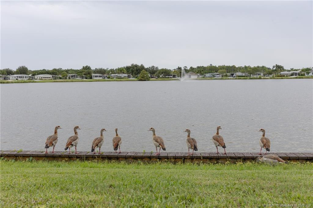 3 bedroom Single Family Residence at 8965 SW Chevy Circle, St Lucie Falls, Stuart — photo 5