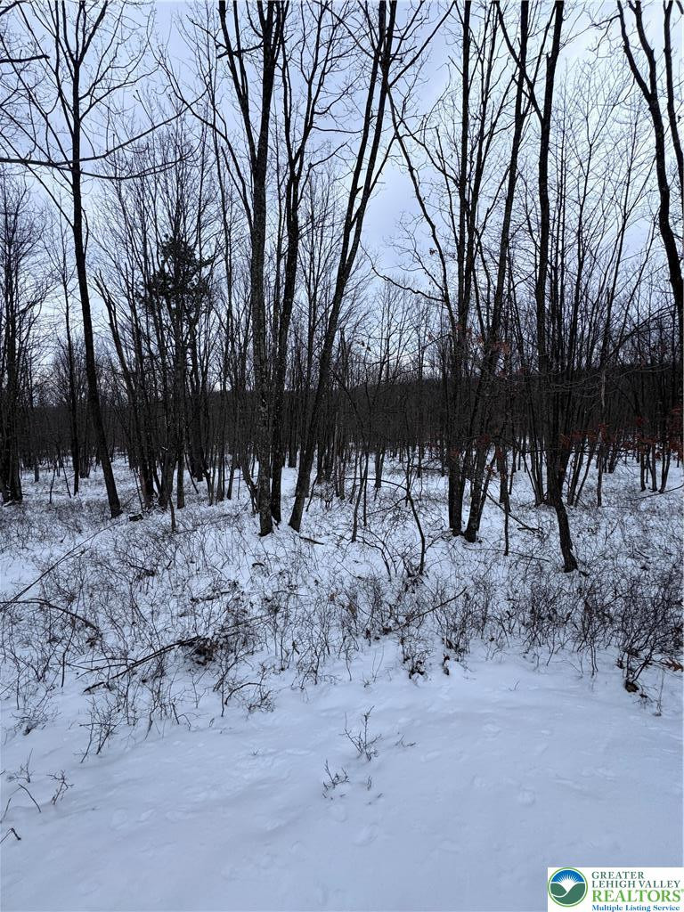 Property photo for 230 Elderberry Lane, Hazle Twp, PA