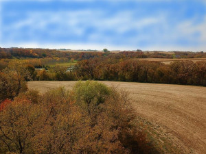 Photo for TBD24 County 117, Wykoff, MN 55990 - Listing #5625084 TBD24 County 117, Wykoff, MN 55990