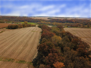 Photo for TBD24 County 117, Wykoff, MN 55990 - Listing #5625084 TBD24 County 117, Wykoff, MN 55990