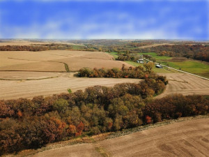 Photo for TBD24 County 117, Wykoff, MN 55990 - Listing #5625084 TBD24 County 117, Wykoff, MN 55990