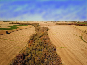 Photo for TBD24 County 117, Wykoff, MN 55990 - Listing #5625084 TBD24 County 117, Wykoff, MN 55990