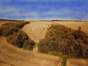 Photo for TBD24 County 117, Wykoff, MN 55990 - Listing #5625084 TBD24 County 117, Wykoff, MN 55990