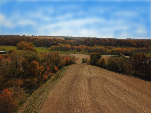 Photo for TBD24 County 117, Wykoff, MN 55990 - Listing #5625084 TBD24 County 117, Wykoff, MN 55990