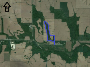 Photo for TBD24 County 117, Wykoff, MN 55990 - Listing #5625084 TBD24 County 117, Wykoff, MN 55990