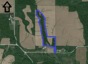 Photo for TBD24 County 117, Wykoff, MN 55990 - Listing #5625084 TBD24 County 117, Wykoff, MN 55990