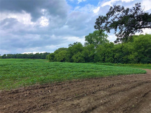 Photo for TBD24 County 117, Wykoff, MN 55990 - Listing #5625084 TBD24 County 117, Wykoff, MN 55990