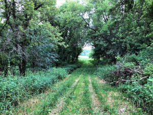 Photo for TBD24 County 117, Wykoff, MN 55990 - Listing #5625084 TBD24 County 117, Wykoff, MN 55990