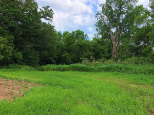 Photo for TBD24 County 117, Wykoff, MN 55990 - Listing #5625084 TBD24 County 117, Wykoff, MN 55990