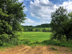 Photo for TBD24 County 117, Wykoff, MN 55990 - Listing #5625084 TBD24 County 117, Wykoff, MN 55990
