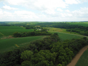 Photo for TBD24 County 117, Wykoff, MN 55990 - Listing #5625084 TBD24 County 117, Wykoff, MN 55990