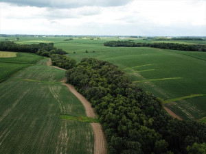 Photo for TBD24 County 117, Wykoff, MN 55990 - Listing #5625084 TBD24 County 117, Wykoff, MN 55990