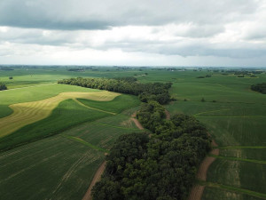 Photo for TBD24 County 117, Wykoff, MN 55990 - Listing #5625084 TBD24 County 117, Wykoff, MN 55990