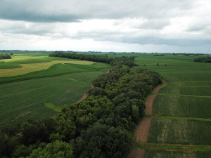 Photo for TBD24 County 117, Wykoff, MN 55990 - Listing #5625084 TBD24 County 117, Wykoff, MN 55990